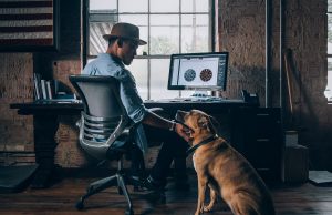 Il cane in ufficio: scopriamone i benefici