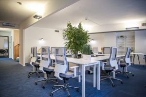 Coworking: come nasce questa idea rivoluzionaria?